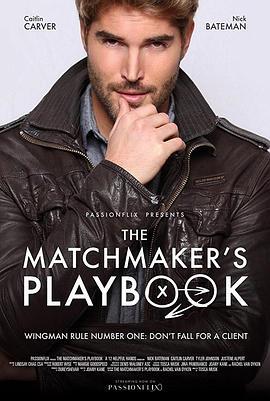 媒人手册 The Matchmaker's Playbook (2018) - 毒蛇电影