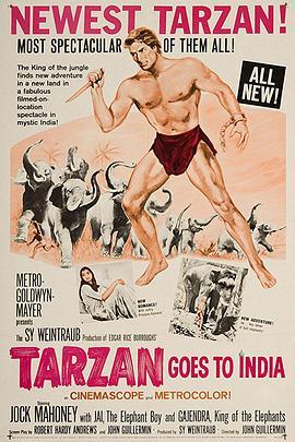 泰山去印度 Tarzan Goes to India (1962) - 毒蛇电影