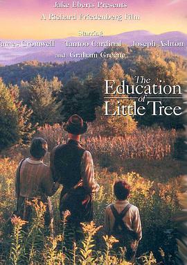 小树的故事 The Education of Little Tree (1997) - 毒蛇电影