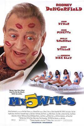 五个老婆一台戏 My 5 Wives (2000) - 毒蛇电影