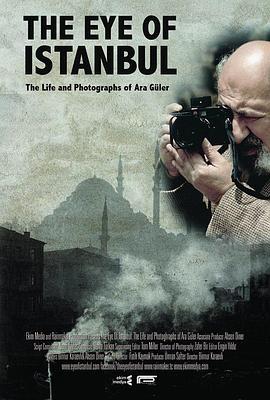 伊斯坦布尔的眼睛 The Eye of Istanbul (2015) - 毒蛇电影