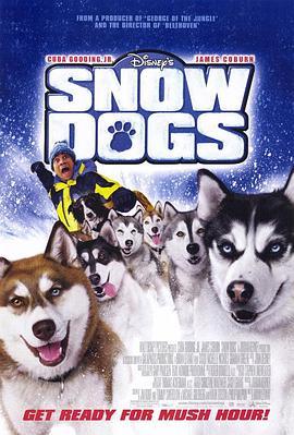 雪地狂奔 Snow Dogs (2002) - 毒蛇电影