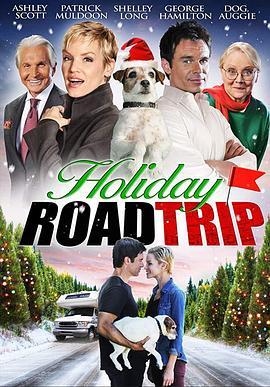 假日之旅 Holiday Road Trip (2013) - 毒蛇电影