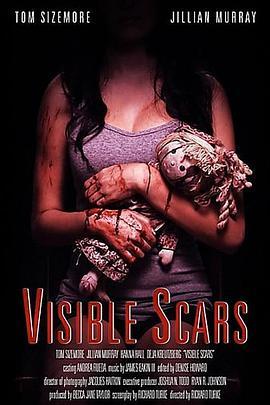 看得见的伤痕 Visible Scars (2013) - 毒蛇电影