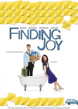 快乐难寻 Finding Joy (2012) - 毒蛇电影