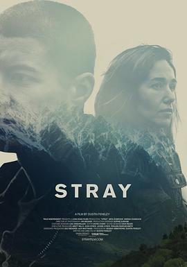 迷路 Stray (2018) - 毒蛇电影