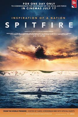 喷火 Spitfire (2018) - 毒蛇电影