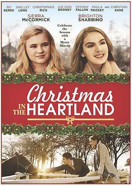 圣诞变形记 Christmas in the Heartland (2018) - 毒蛇电影