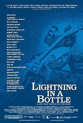 瓶中闪电 Lightning In a Bottle (2004) - 毒蛇电影