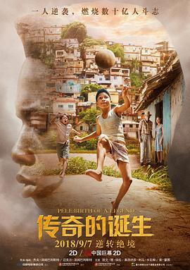 传奇的诞生 Pelé: Birth of a Legend (2016) - 毒蛇电影