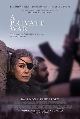 私人战争 A Private War (2018) - 毒蛇电影