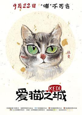 爱猫之城 Kedi (2016) - 毒蛇电影