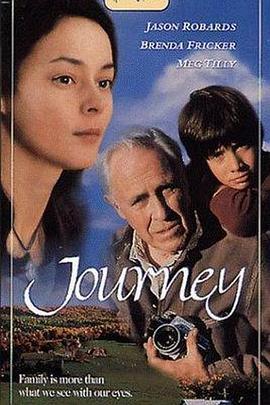 心灵旅程 Journey (1995) - 毒蛇电影