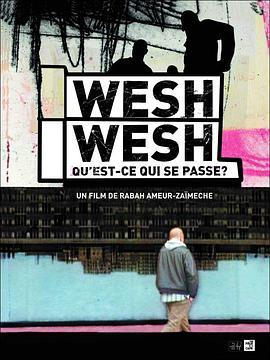 圣但尼怎么了？ Wesh wesh, qu'est-ce qui se passe? (2001) - 毒蛇电影