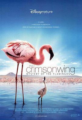 红色翅膀：火烈鸟故事 The Crimson Wing: Mystery of the Flamingos (2008) - 毒蛇电影