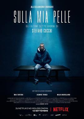 切肤之痛 Sulla mia pelle (2018) - 毒蛇电影