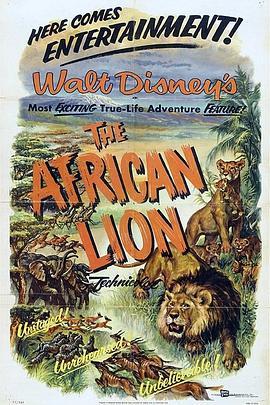 猛兽 The African Lion (1955) - 毒蛇电影