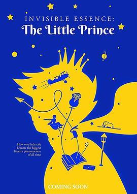 无形的本质：小王子 Invisible Essence: The Little Prince (2018) - 毒蛇电影