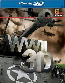 历史频道: 3D二战 History Channel: WWII in 3D (2011) - 毒蛇电影