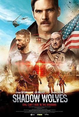 暗影出击 Shadow Wolves (2019) - 毒蛇电影