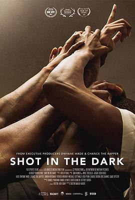 黑暗中拍摄 Shot in the Dark (2017) - 毒蛇电影