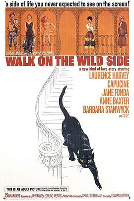 神女生涯原是梦 Walk on the Wild Side (1962) - 毒蛇电影