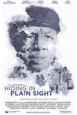 Hiding in Plain Sight  (2012) - 毒蛇电影