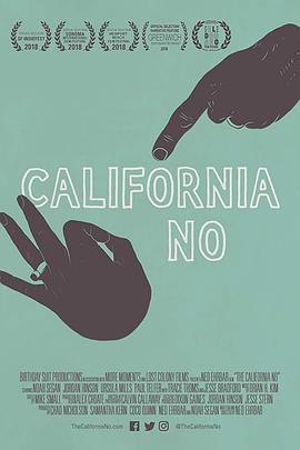 加州无号牌 The California No (2018) - 毒蛇电影