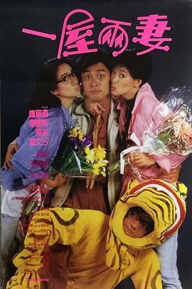 一屋两妻 一屋兩妻 (1987) - 毒蛇电影