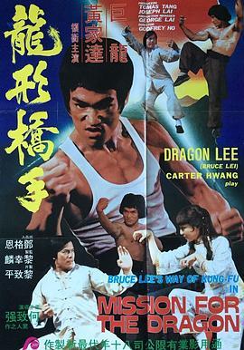 鹰拳  (1980) - 毒蛇电影