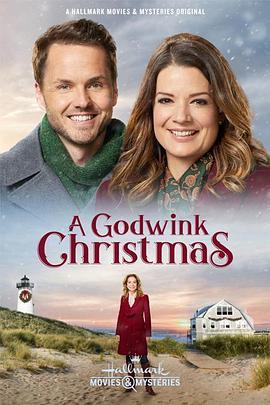 A Godwink Christmas  (2018) - 毒蛇电影