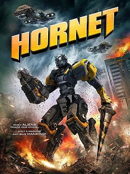 山寨大黄蜂 Hornet (2018) - 毒蛇电影