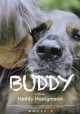 良朋狗友 Buddy (2018) - 毒蛇电影