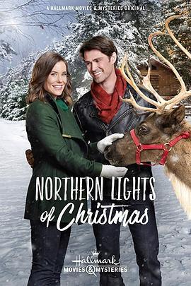 圣诞北极光 Northern Lights of Christmas (2018) - 毒蛇电影