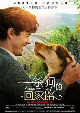 一条狗的回家路 A Dog's Way Home (2019) - 毒蛇电影