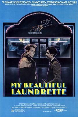 我美丽的洗衣店 My Beautiful Laundrette (1985) - 毒蛇电影