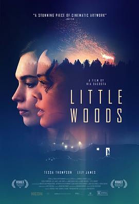 小森林 Little Woods (2018) - 毒蛇电影