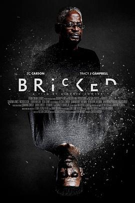 砖砌 Bricked (2018) - 毒蛇电影