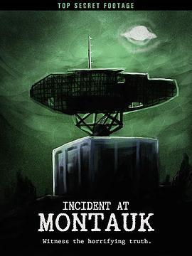 蒙塔克事件 Incident at Montauk (2019) - 毒蛇电影