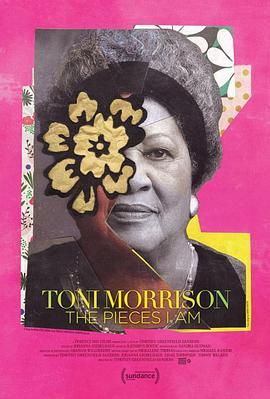 托妮·莫里森：我的作品 Toni Morrison: The Pieces I Am (2019) - 毒蛇电影