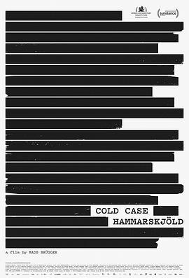 哈马舍尔德悬案 Cold Case Hammarskjöld (2019) - 毒蛇电影