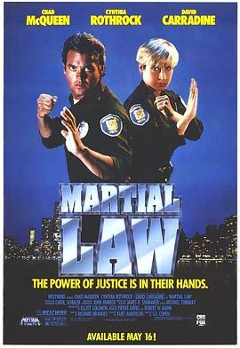 卧底飞龙 Martial Law (1991) - 毒蛇电影