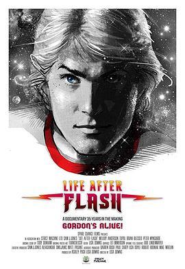 飞侠后的生活 Life After Flash (2017) - 毒蛇电影