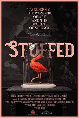 充满了 Stuffed (2019) - 毒蛇电影