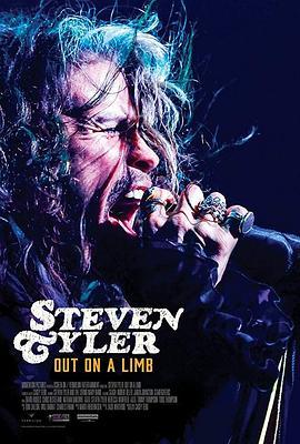 史蒂文·泰勒：冒险 Steven Tyler: Out on a Limb (2018) - 毒蛇电影