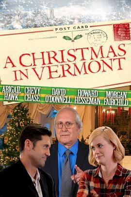 圣诞遇到爱 A Christmas in Vermont (2016) - 毒蛇电影