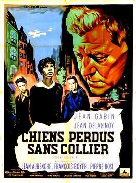 流浪狗没有衣领 Chiens perdus sans collier (1955) - 毒蛇电影