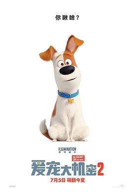 爱宠大机密2 The Secret Life of Pets 2 (2019) - 毒蛇电影