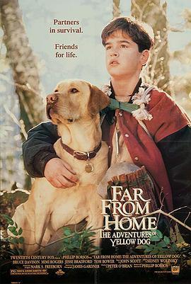 小黄历险记 Far from Home: The Adventures of Yellow Dog (1995) - 毒蛇电影