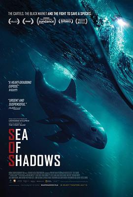 暗海 Sea of Shadows (2019) - 毒蛇电影